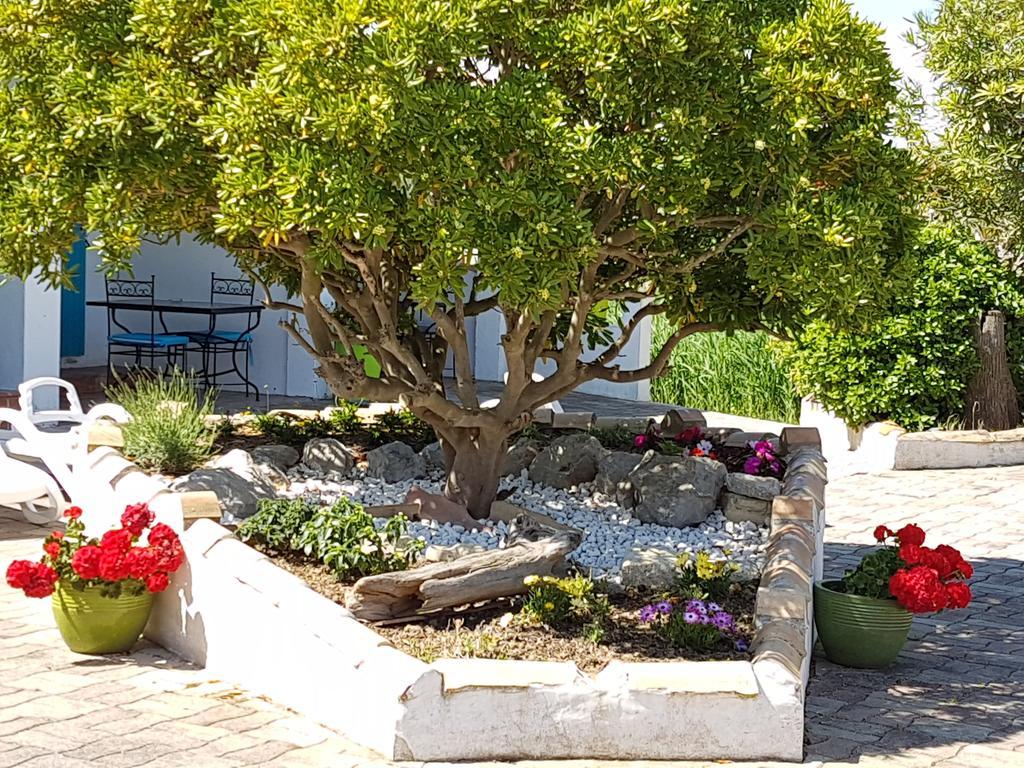L'Auberge Camarguaise Saintes-Maries-de-la-Mer Dış mekan fotoğraf